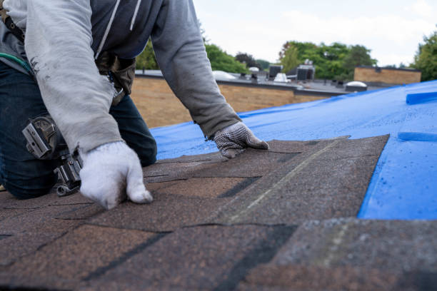 Best Local Roofing Companies  in Fort Thompson, SD