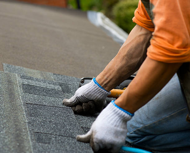 Best Roof Repair Services  in Fort Thompson, SD
